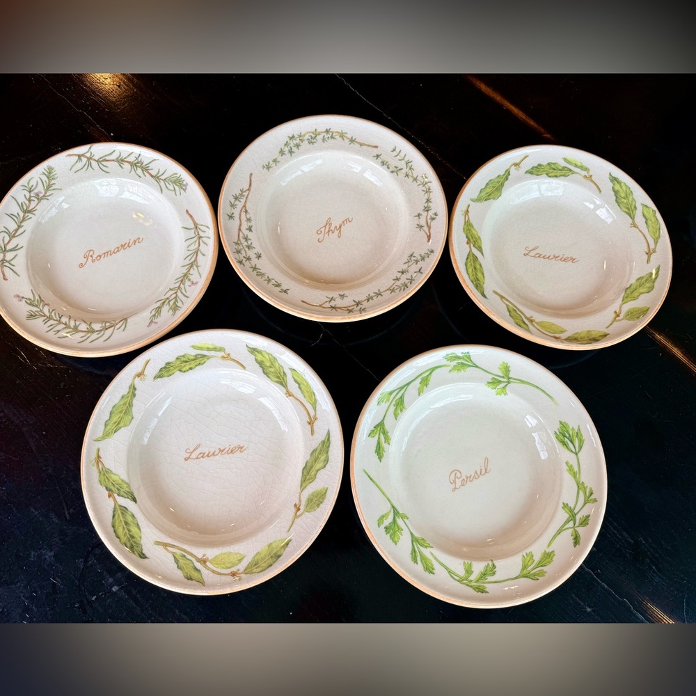 Williams Sonoma Made in Italy Bouquet Garni Pasta Bowls Plates Set of 5 10.5”